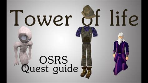 osrs swordchick tower of life.